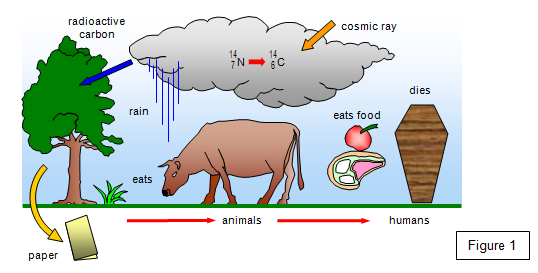 uses of radioactivity in medicine